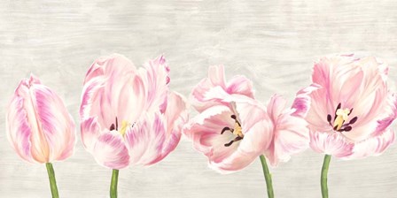 Classic Tulips by Jenny Thomlinson art print