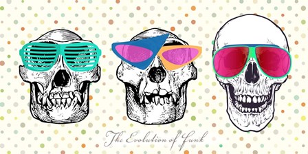 The Evolution of Funk by Steven Hill art print