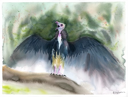 Vulture by Olga Shefranov art print