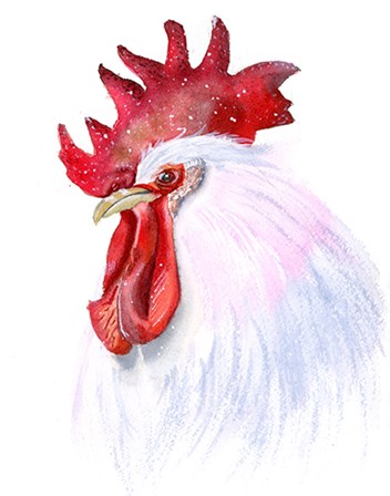 Rooster by Olga Shefranov art print