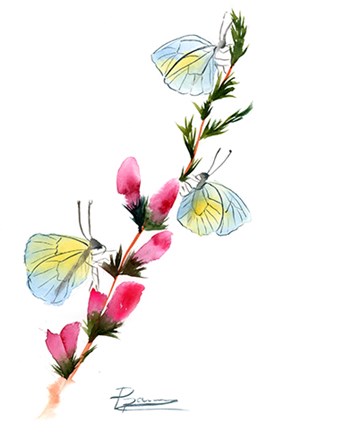 Butterflies by Olga Shefranov art print