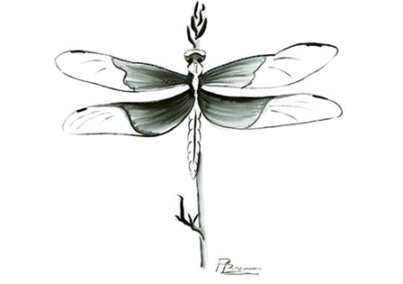 Dragonfly by Olga Shefranov art print