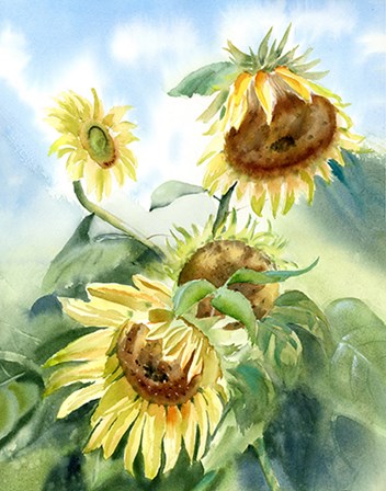 Sunflowers by Olga Shefranov art print