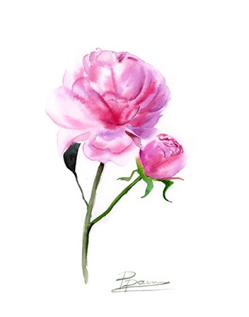 Pink Flowers V by Olga Shefranov art print