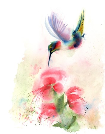 Red Flower Hummingbird by Olga Shefranov art print