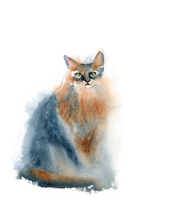 Ginger Cat II by Olga Shefranov art print