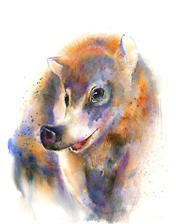 Snout and About by Olga Shefranov art print