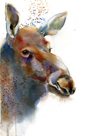 Moose by Olga Shefranov art print