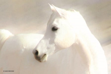 White Arab II by Kari Brooks art print