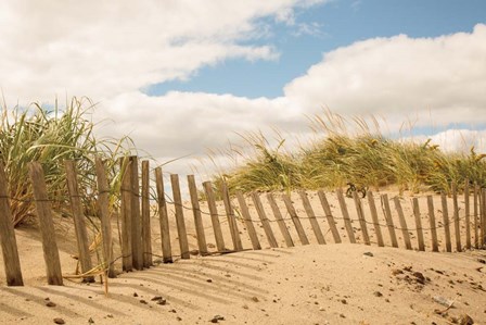 Beach Dunes I by Aledanda art print