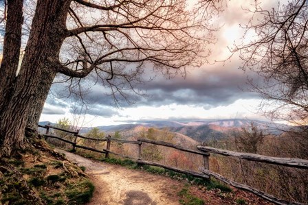 Mountain Walks by Andy Amos art print