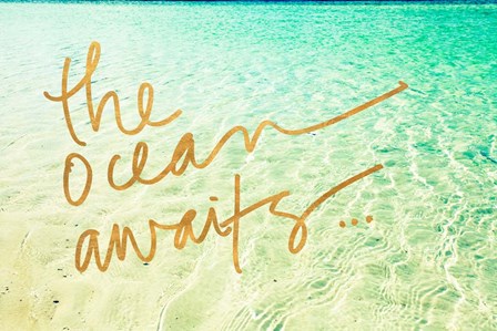The Ocean Awaits by Susan Bryant art print