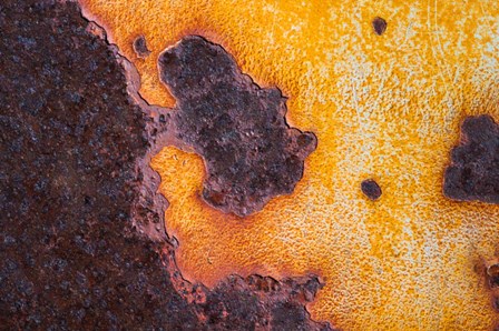 Rust Abstract by Zandria Muench Beraldo / Danita Delimont art print