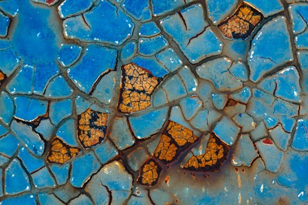 Details Of Rust And Paint On Metal 24 by Zandria Muench Beraldo / Danita Delimont art print