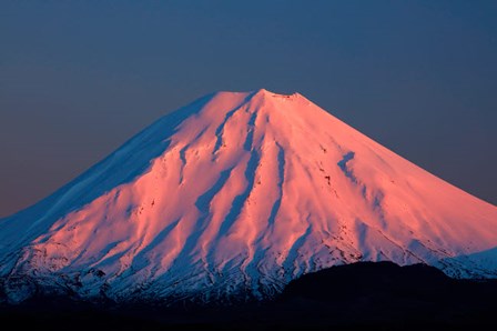 Alpenglow On Mt Ngauruhoe At Dawn, Tongariro National Park, New Zealand by David Wall / Danita Delimont art print