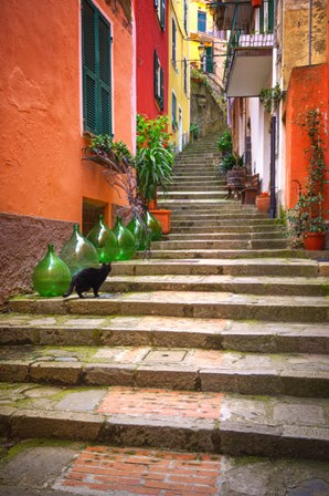 Europe, Italy, Monterosso Cat On Long Stairway by Jaynes Gallery / Danita Delimont art print