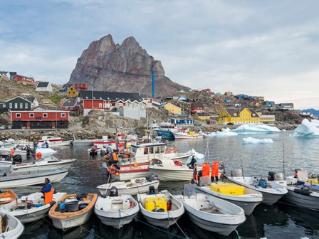 Uummannaq Harbor And Town, Greenland by Martin Zwick / Danita Delimont art print