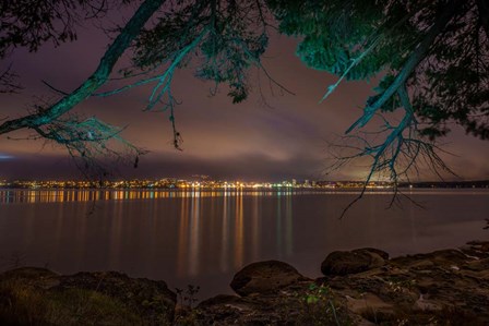 Nanaimo Night Tree by Tim Oldford art print