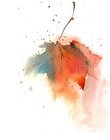 Fall Leaves I by Olga Shefranov art print
