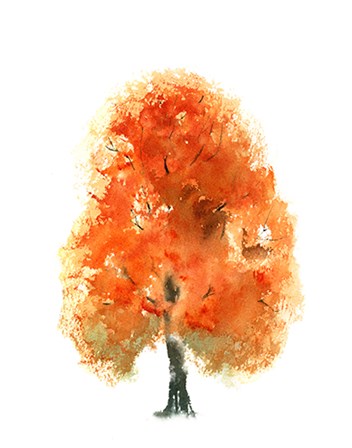 Fall Tree I by Olga Shefranov art print