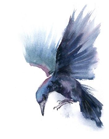 Crow I by Olga Shefranov art print