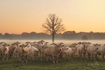 Just Come Cows and A Dead Tree by Martin Podt art print