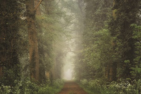 Misty Spring Road by Martin Podt art print