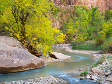 Utah Zion National Park, Virgin River by Jamie &amp; Judy Wild / Danita Delimont art print