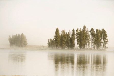 Morning Fog Along The Yellowstone River In Yellowstone National Park by Jaynes Gallery / Danita Delimont art print