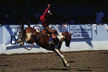 Saddle Bronc Rider by Panoramic Images art print