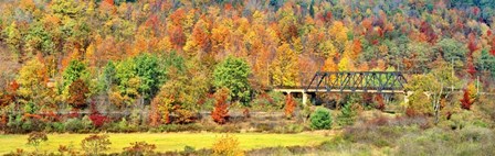 Cantilever Bridge And Autumnal Trees In Forest, Central Bridge, New York State by Panoramic Images art print