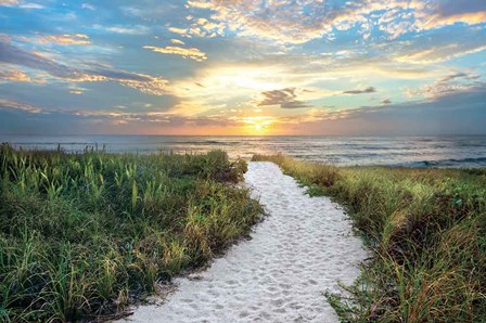 Morning Trail by Celebrate Life Gallery art print