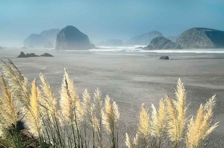 Pampas Beach by Dennis Frates art print