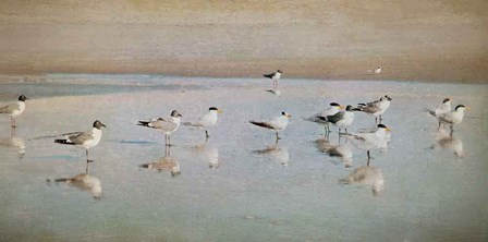 Coastal Reflections by Heather Jacks art print