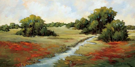 Kissimmee Grasslands by Maija Baynes art print