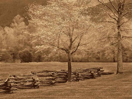 Smokies Fence by Wendy Caro art print