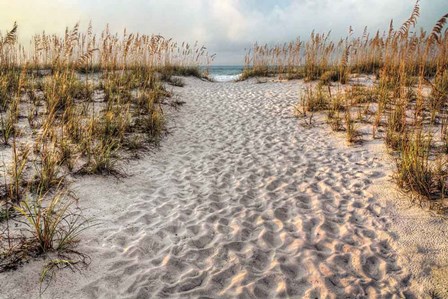 Path To The Beach by Michael Cahill art print