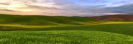 Farmscape Panorama VI by James McLoughlin art print