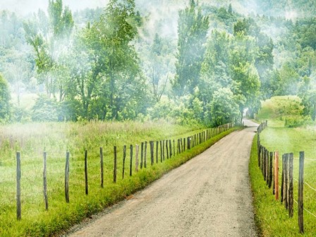 Country Road Photo II by James McLoughlin art print