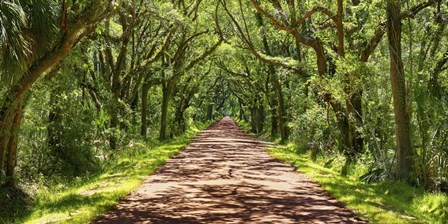 Country Road Photo VII by James McLoughlin art print