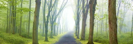 Country Road Panorama V by James McLoughlin art print