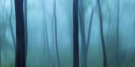 Harriman Woods II by James McLoughlin art print