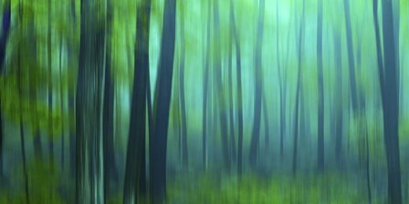 Harriman Woods III by James McLoughlin art print