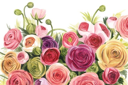 Ranunculus Panorama by Grace Popp art print