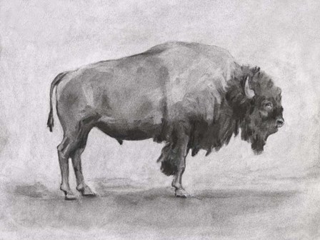 Wild Bison Study I by Emma Scarvey art print