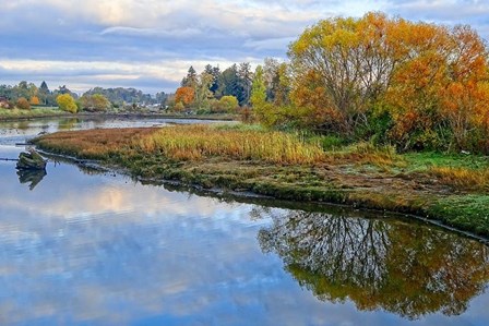 Estuary Autumn by Chuck Burdick art print