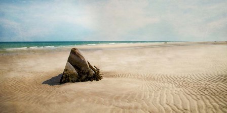 Beach Boulder by Brooke T. Ryan art print