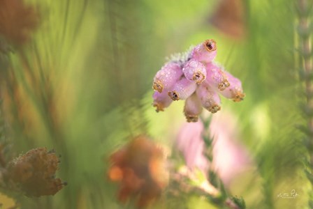 Heather by Martin Podt art print