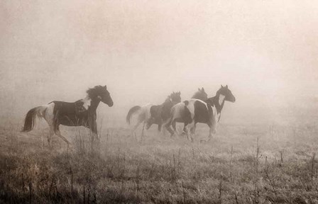 Paint Horses on the Run by Debra Van Swearingen art print