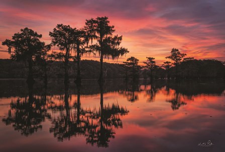 Swamp on Fire by Martin Podt art print